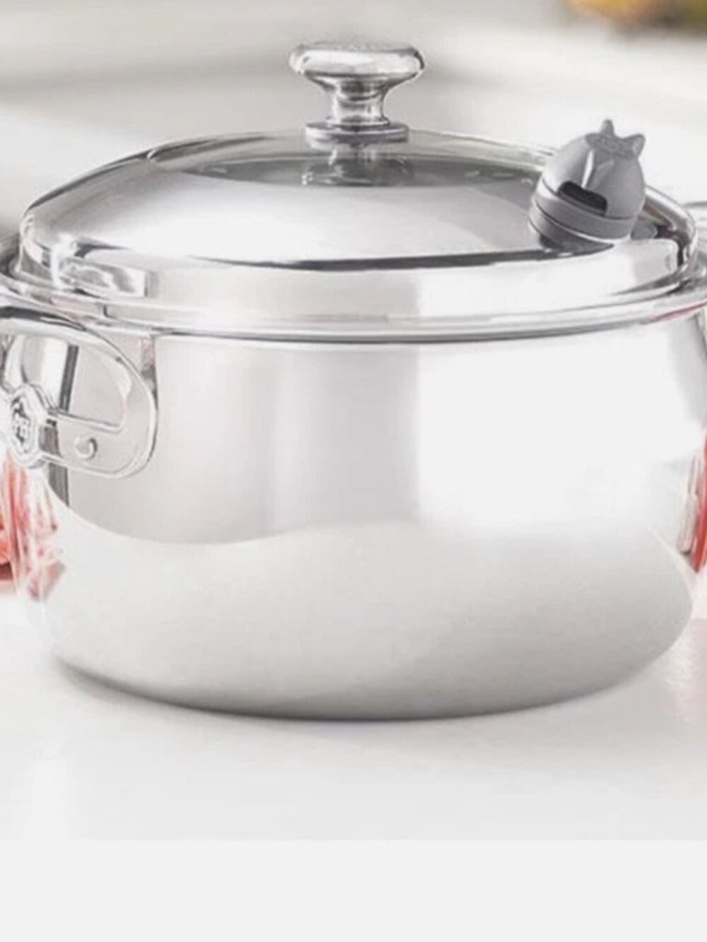 Princess House Vida Sana 5-Ply Stainless 6 Qt Casserole